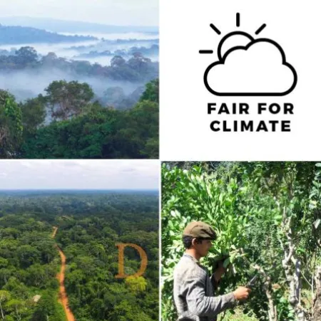I Love Mate - nachhaltiger Mate Tee aus Argentinien 500g (Fair For Climate, komplett mit Sonnenenergie hergestellt, limitierte Produktion)